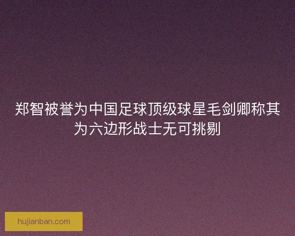 郑智被誉为中国足球顶级球星毛剑卿称其为六边形战士无可挑剔