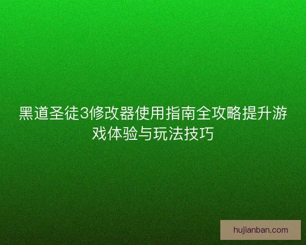 黑道圣徒3修改器使用指南全攻略提升游戏体验与玩法技巧