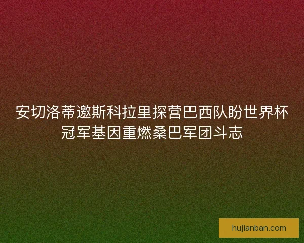 安切洛蒂邀斯科拉里探营巴西队盼世界杯冠军基因重燃桑巴军团斗志